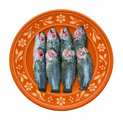 দেশি কই মাছ